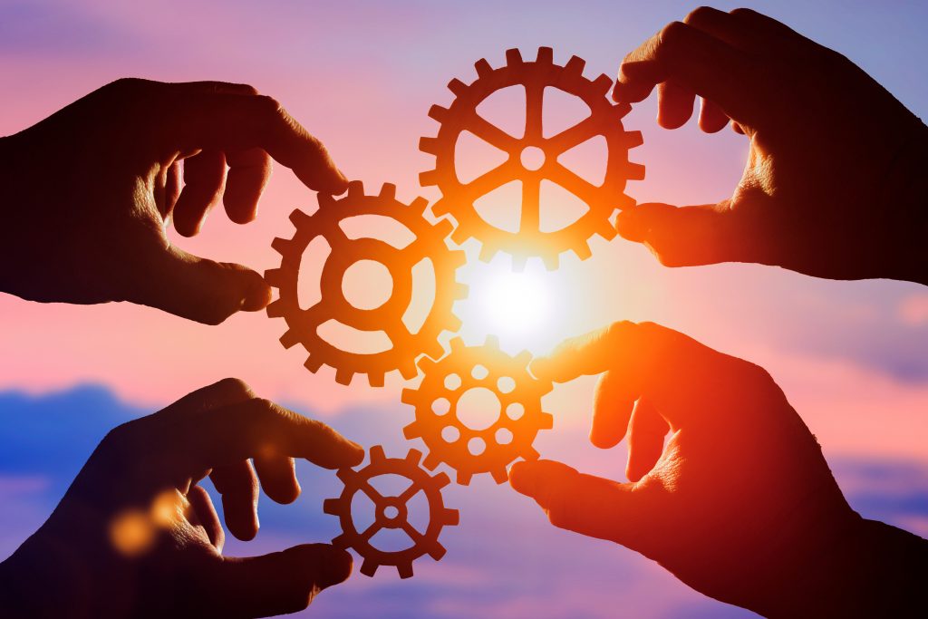 Kurumsallaşma,Sürdürülebilir büyüme, karlılık